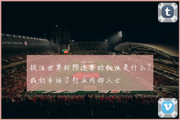 投注世界杯预选赛的秘诀是什么？我们专访了行业内部人士