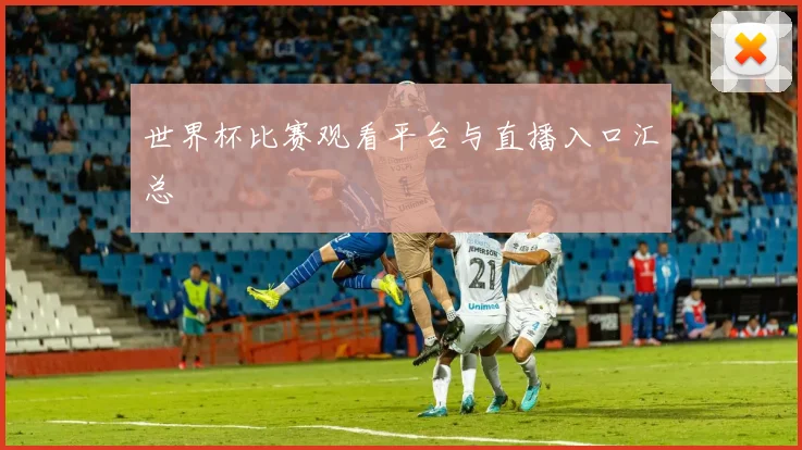 世界杯比赛观看平台与直播入口汇总